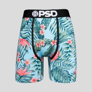 PSD Underwear Space Jam Bugs And Lola Boxer Briefs High Quality No Ride Up  Sport